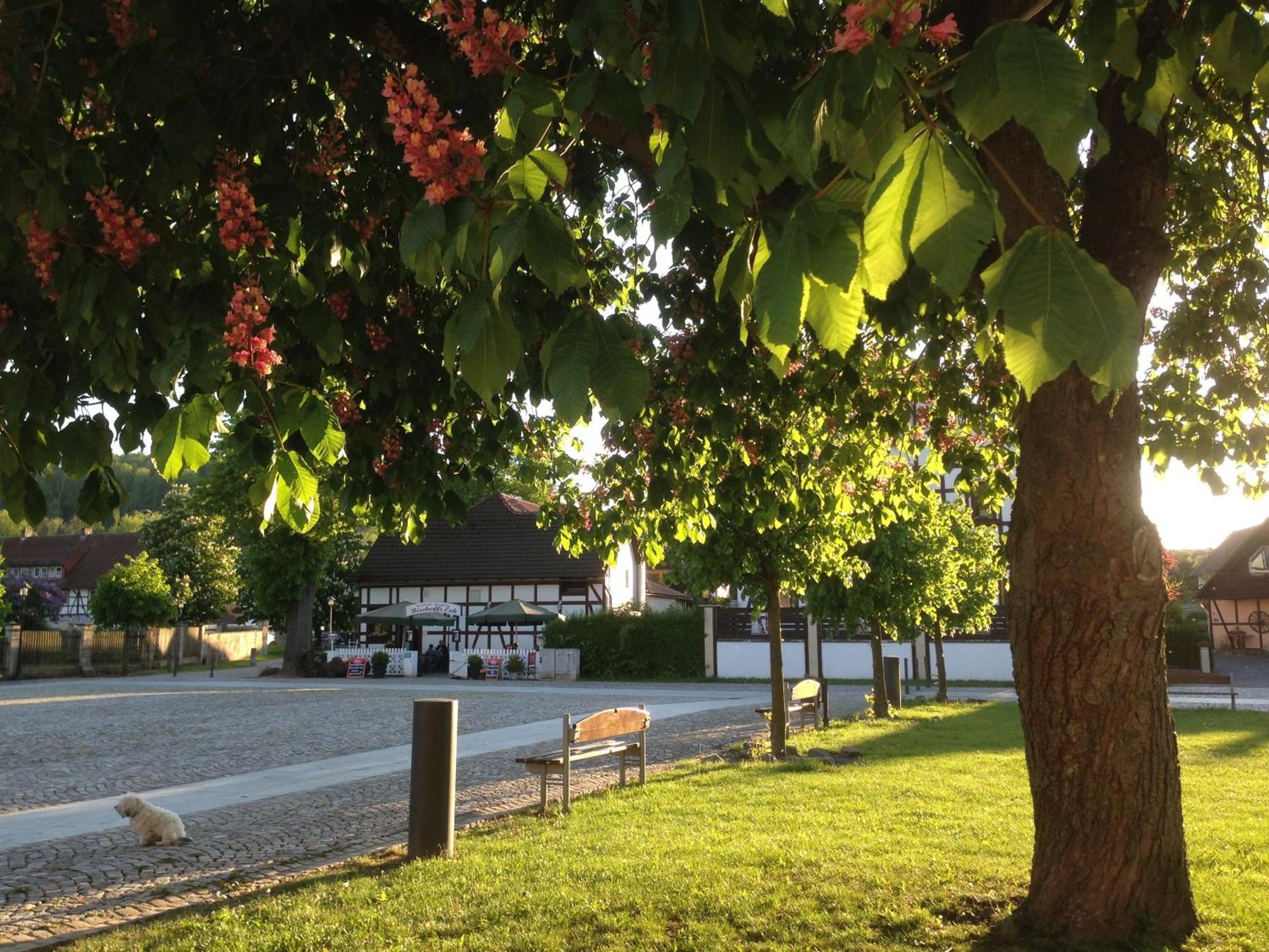 Klosterhotel Walkenried Екстериор снимка