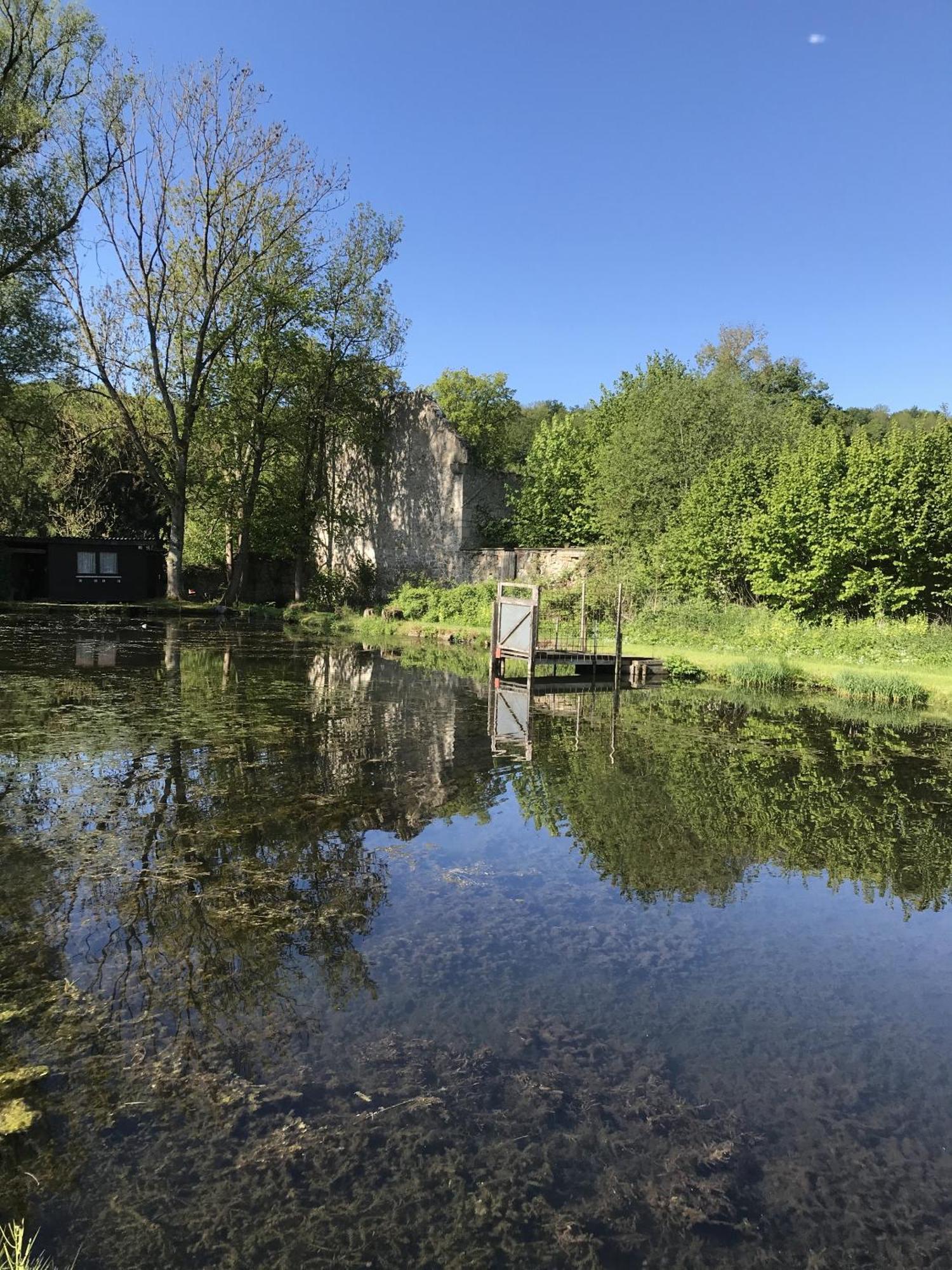 Klosterhotel Walkenried Екстериор снимка